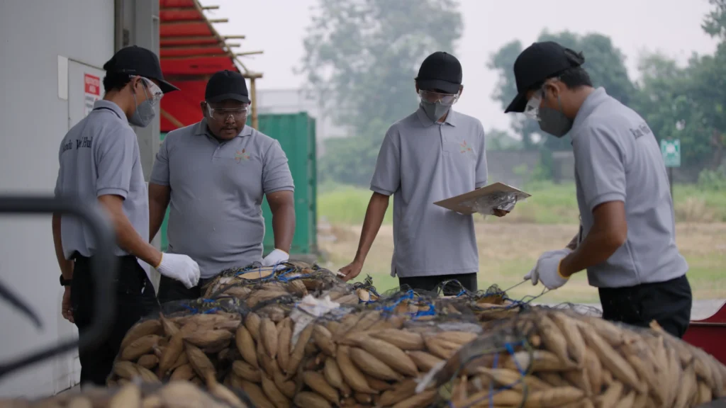 How Flocus’s Patented Technology Makes Kapok SpinnableTeaser