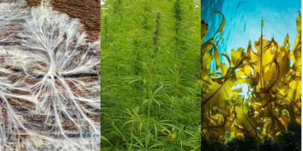 banner-image-biobased-innovators-page-1920x960